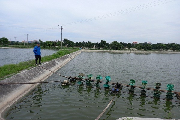 Kỷ niệm 65 năm Ngày Thủy sản Việt Nam
